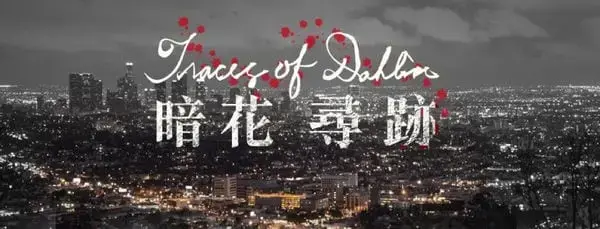 《暗花尋跡》照片 1