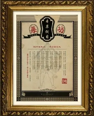 Materia Medica本草綱目主題封面