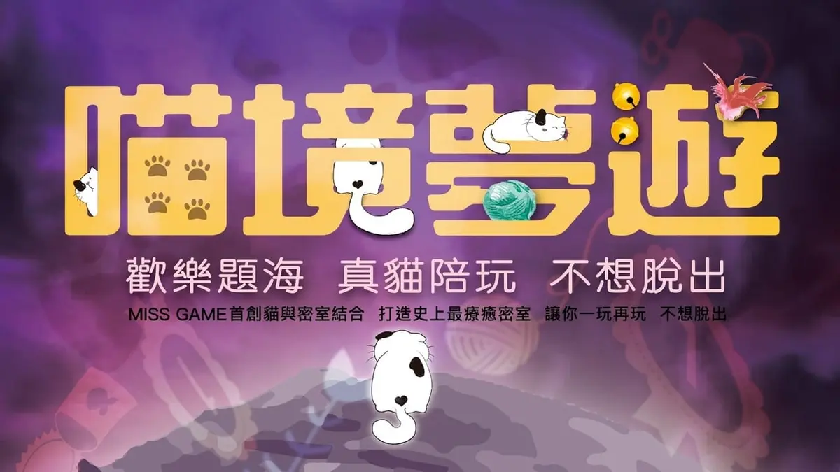 《喵境夢遊》照片 15