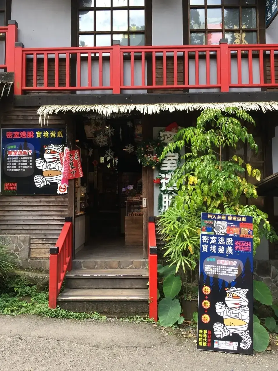 《謎走松林》照片 1