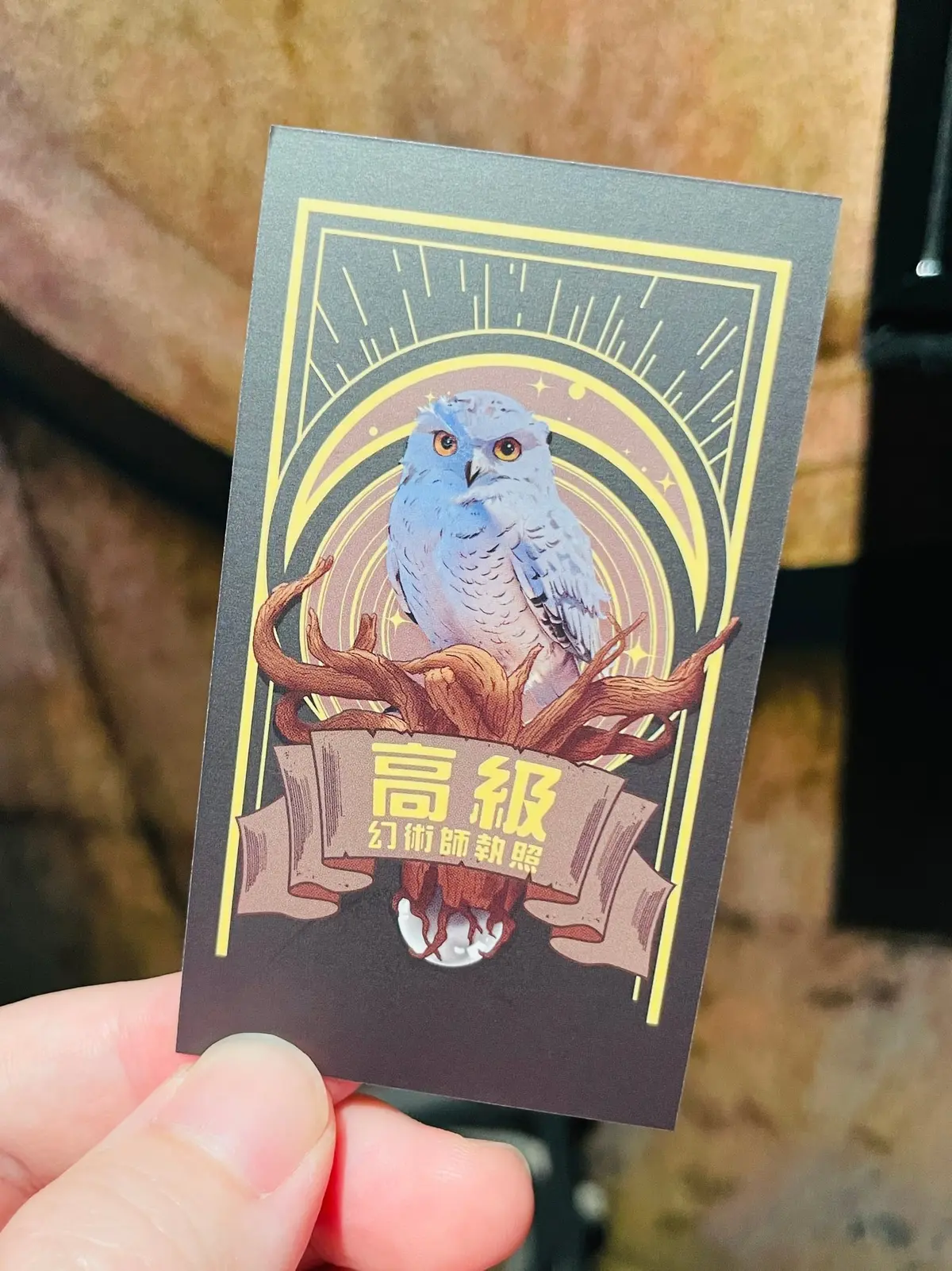 《幻隱光靈 - 學院》照片 8