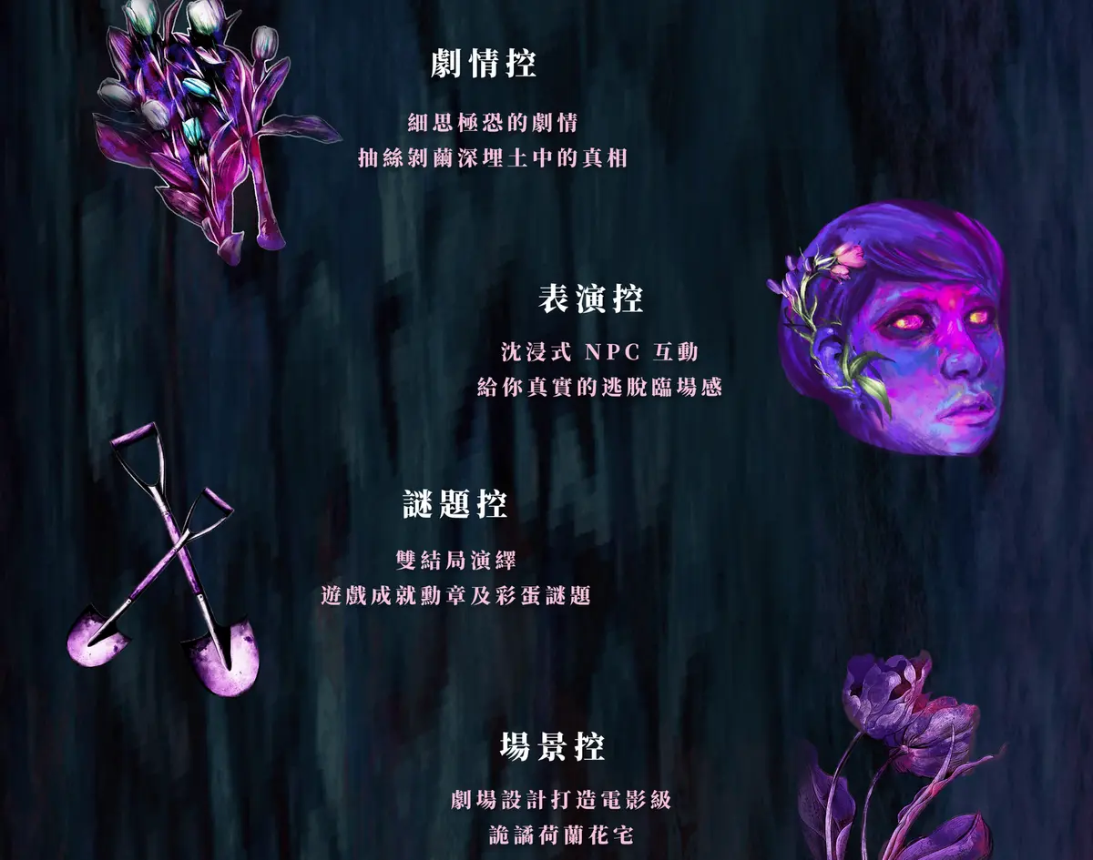 《鬱金香》照片 14