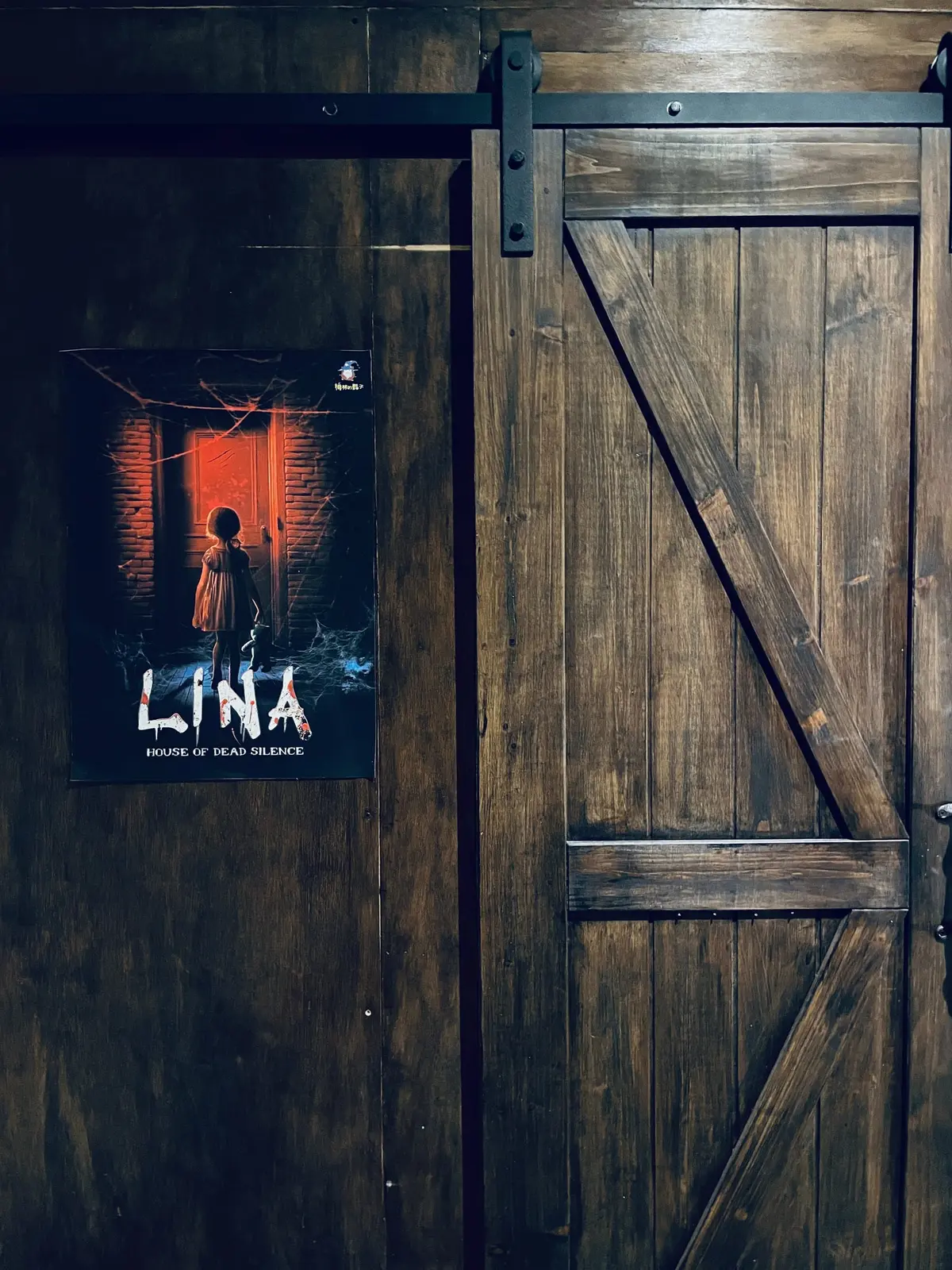 《LINA》照片 15