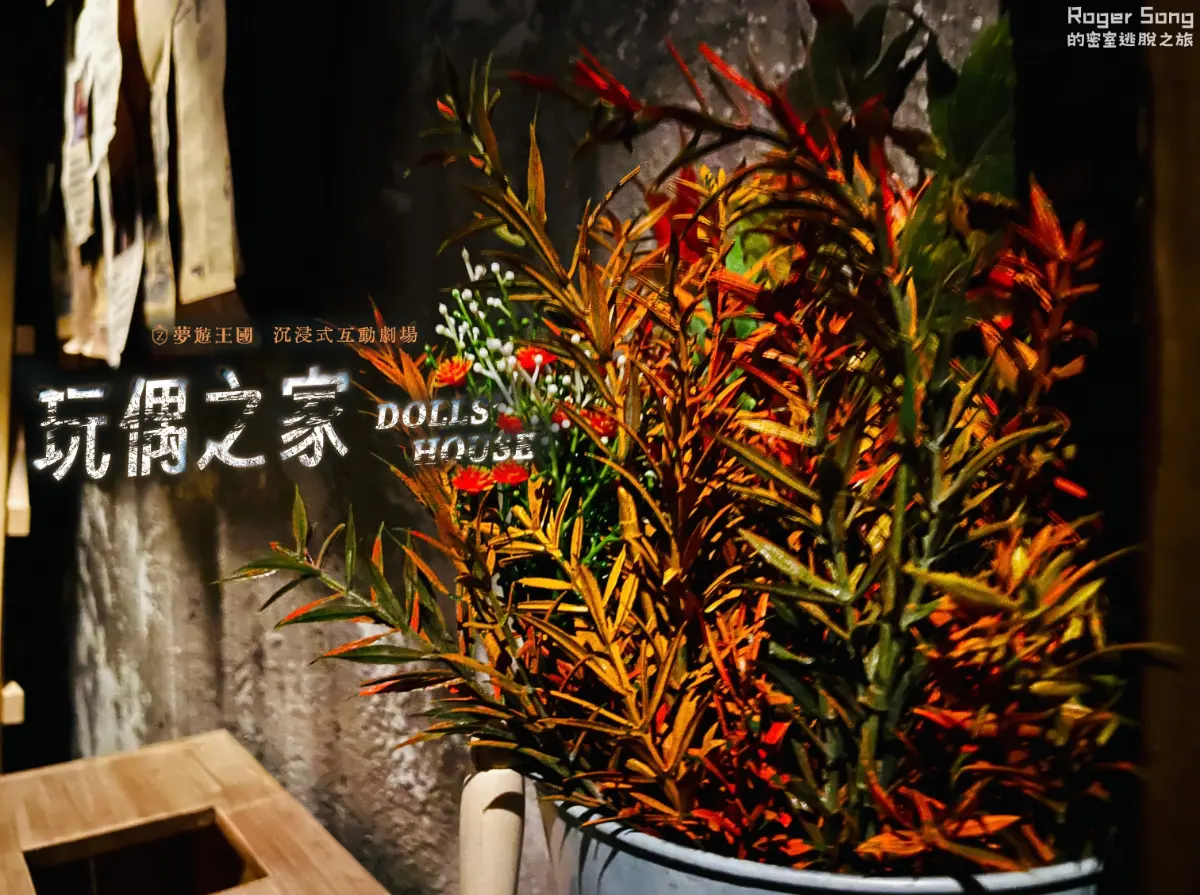 《玩偶之家》照片 13