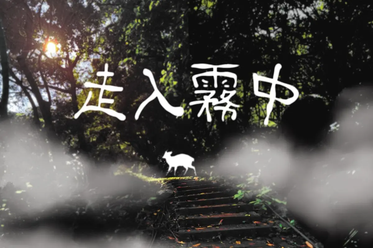 《走入霧中》照片 1