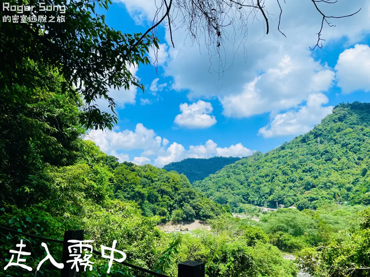 《走入霧中》照片 4