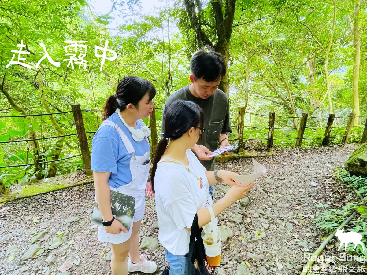 《走入霧中》照片 6