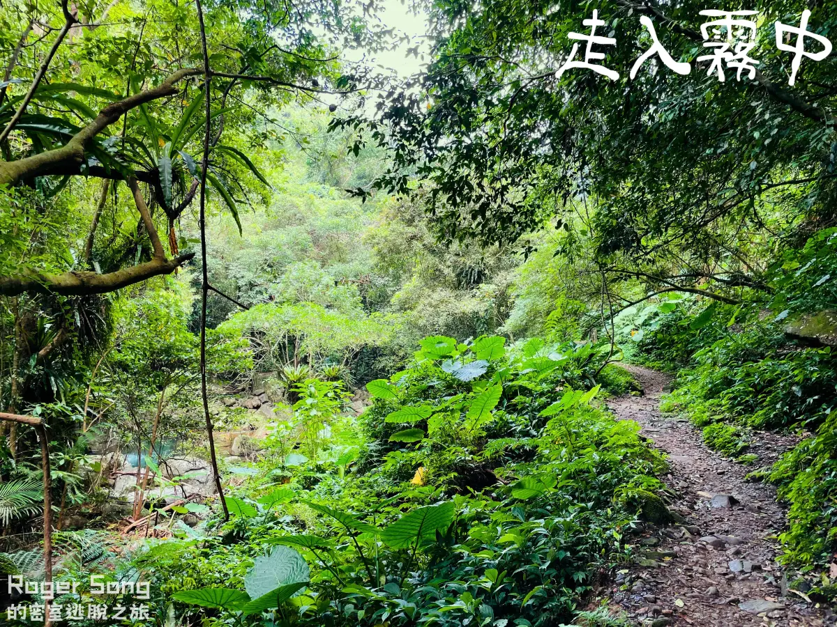 《走入霧中》照片 7