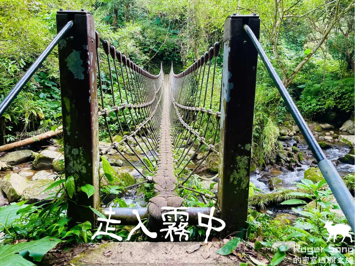 《走入霧中》照片 9