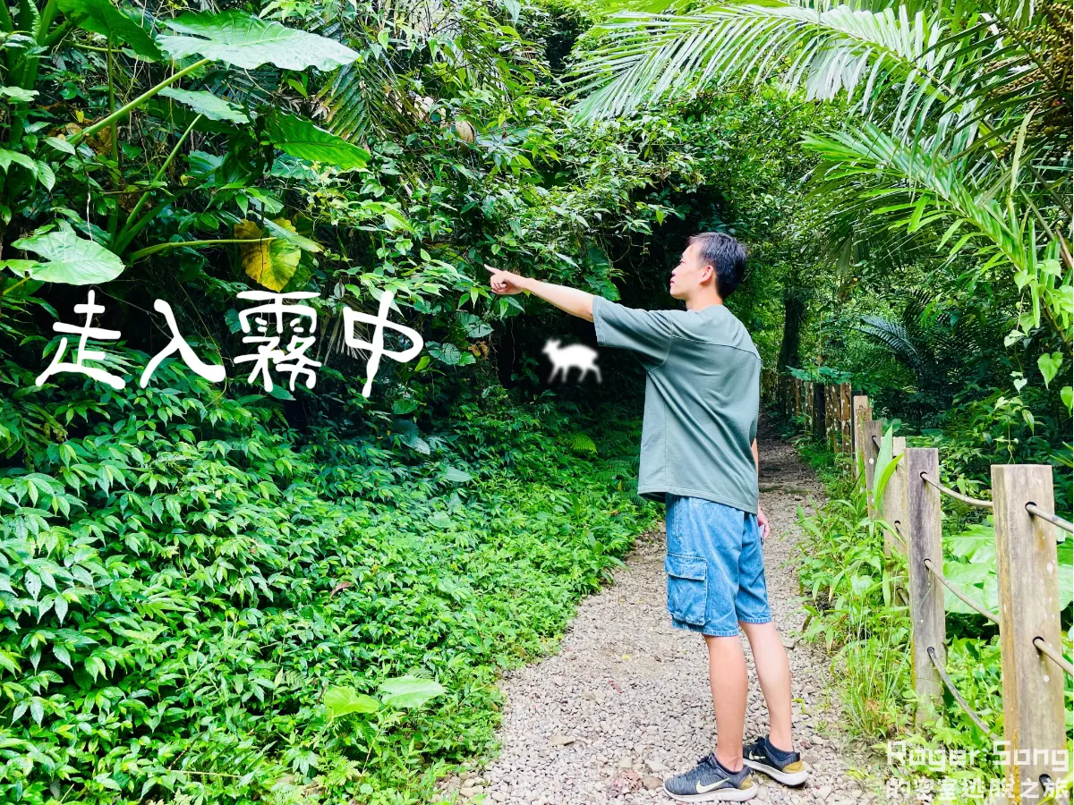 《走入霧中》照片 10