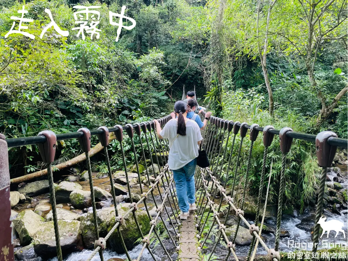 《走入霧中》照片 13