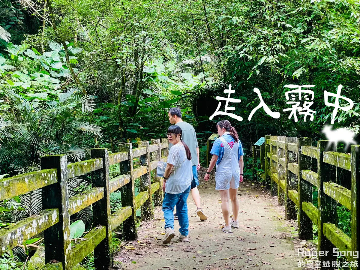 《走入霧中》照片 15