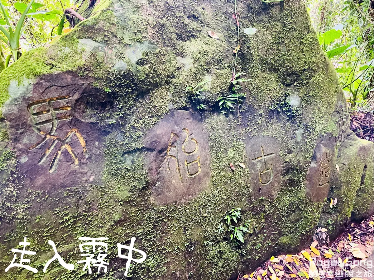 《走入霧中》照片 16