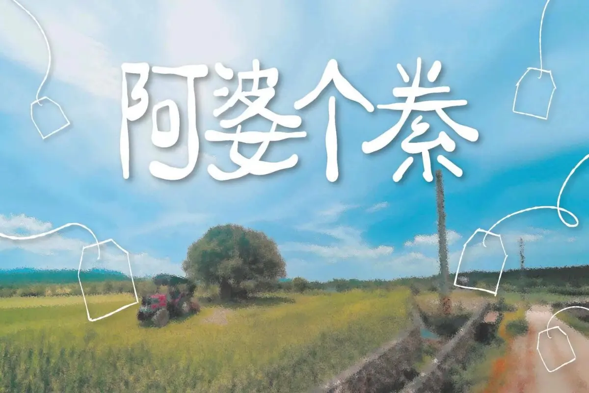 《阿婆个絭》照片 1